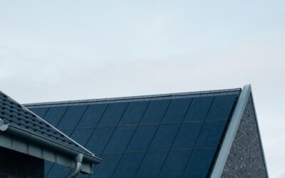 Expert Solar Panel Cleaning Services in Winchester by RB Solutions