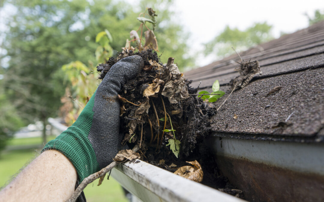 Expert Gutter Cleaning Services in Hampshire by RB Solutions