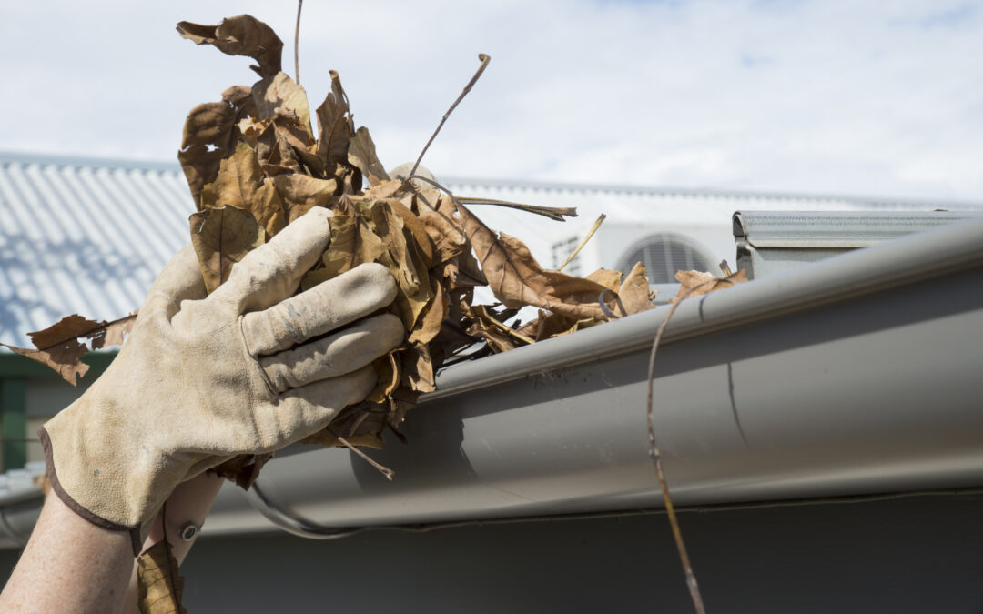Expert Gutter Cleaning Services in Bournemouth by RB Solutions