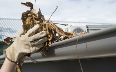 Expert Gutter Cleaning Services in Bournemouth by RB Solutions