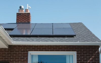 Professional Solar Panel Cleaning Services by RB Solutions in Portsmouth